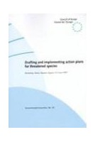 Drafting and implementing...