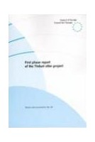 First phase report of the...