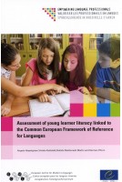 Assessment of young learner...