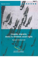 PDF - Irregular migrants:...