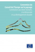 PDF - Convention du Conseil...