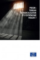 PDF - Prison : terreau de...