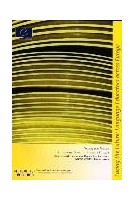 PDF - Facing the future:...